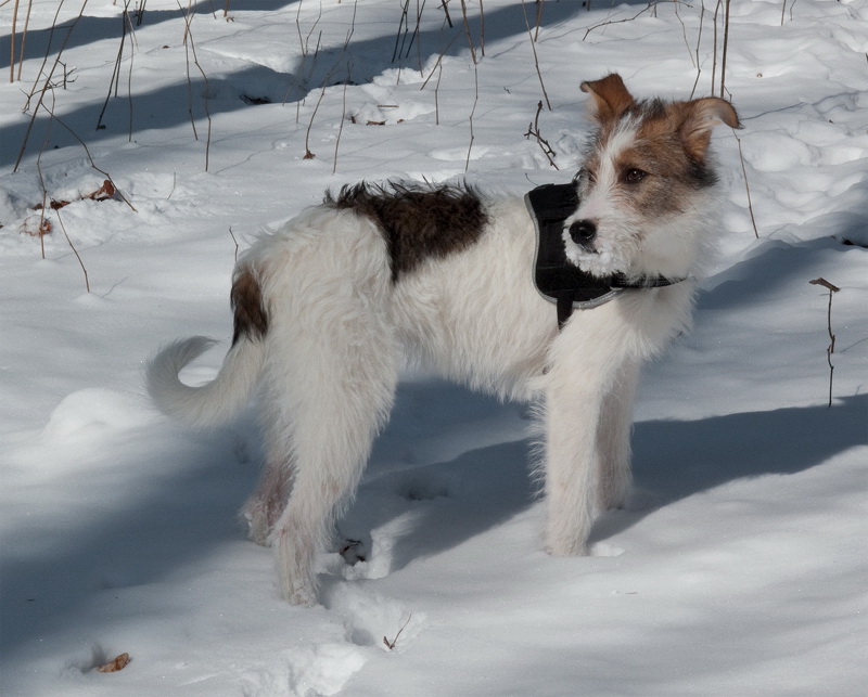 1 felix IMG_2402 als Smart-Objekt-1 Kopie.jpg